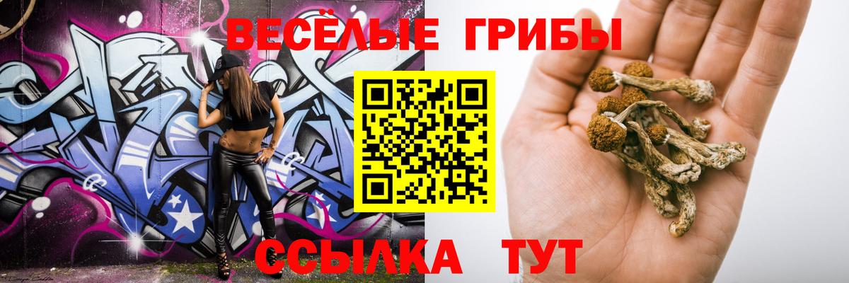 Галлюциногенные грибы прущие грибы  Вход с VPN  Евпатория  Псилоцибиновые грибы мухоморы 